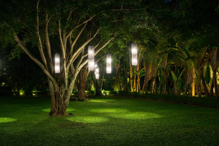 tree with lamp outdoor lighting